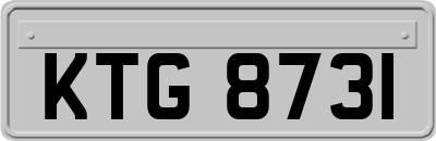 KTG8731