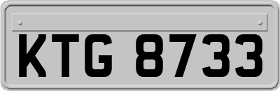 KTG8733
