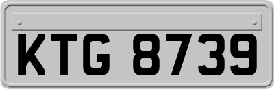 KTG8739