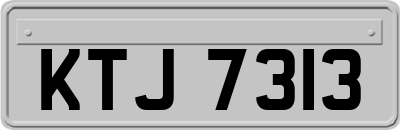 KTJ7313