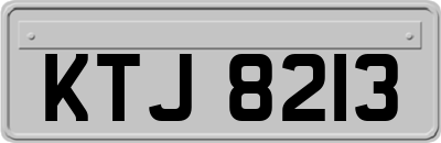KTJ8213