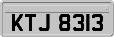 KTJ8313
