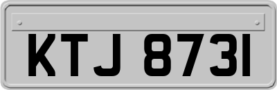 KTJ8731