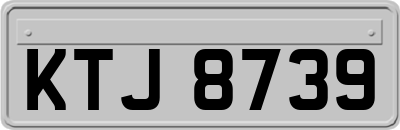 KTJ8739