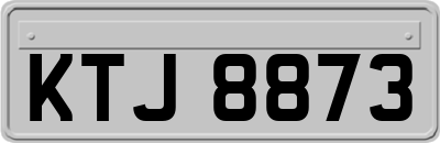 KTJ8873