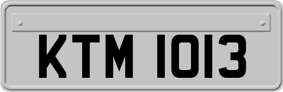 KTM1013