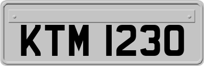 KTM1230