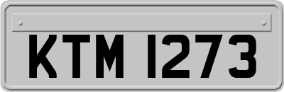 KTM1273