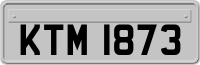 KTM1873