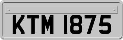 KTM1875