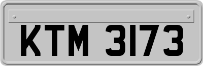 KTM3173
