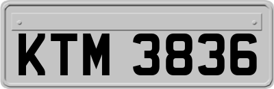 KTM3836
