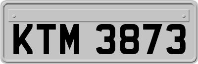 KTM3873