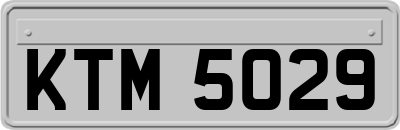 KTM5029