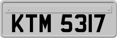 KTM5317