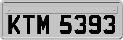 KTM5393