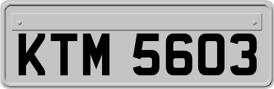 KTM5603