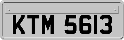 KTM5613