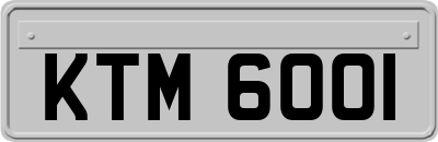 KTM6001
