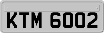 KTM6002