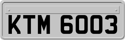 KTM6003