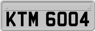 KTM6004