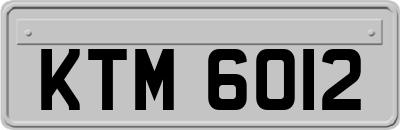 KTM6012