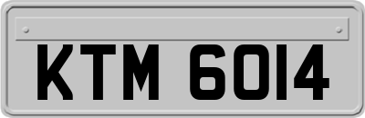 KTM6014