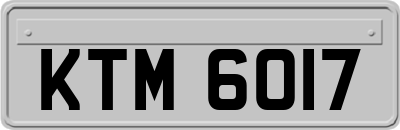 KTM6017