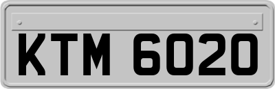 KTM6020