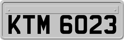 KTM6023