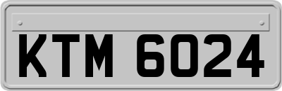 KTM6024