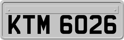 KTM6026