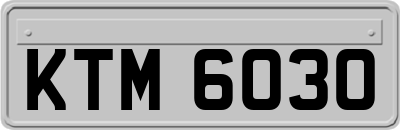 KTM6030
