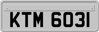 KTM6031