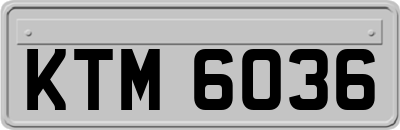 KTM6036