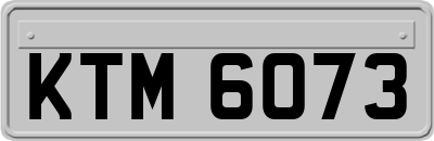 KTM6073