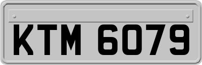KTM6079