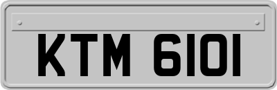 KTM6101