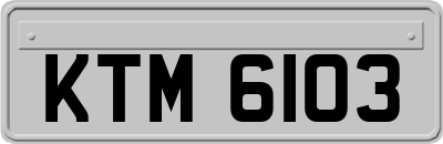 KTM6103
