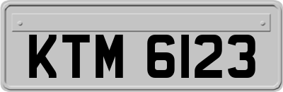 KTM6123