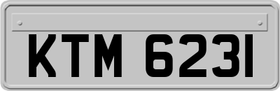 KTM6231