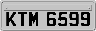 KTM6599