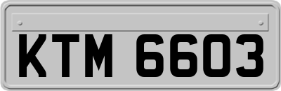KTM6603