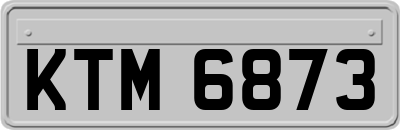KTM6873