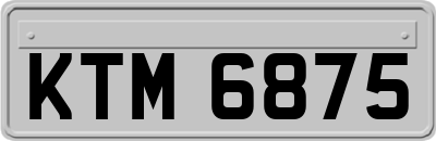 KTM6875