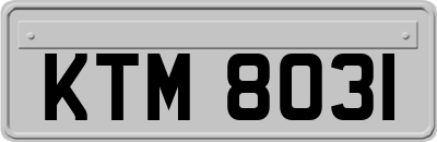 KTM8031