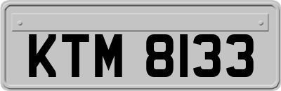 KTM8133