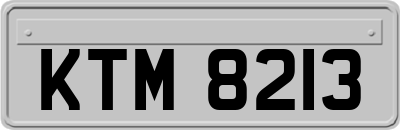 KTM8213