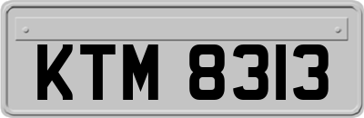 KTM8313